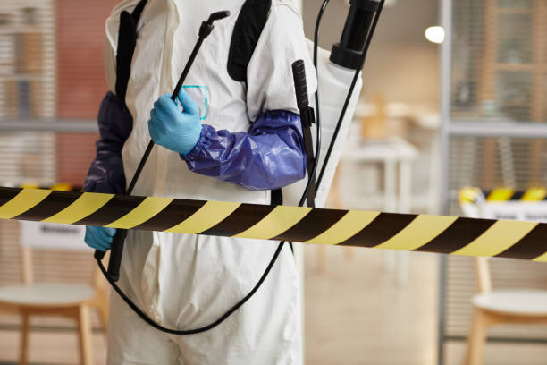 Professional Sewage Cleanup technician working in West Point, UT